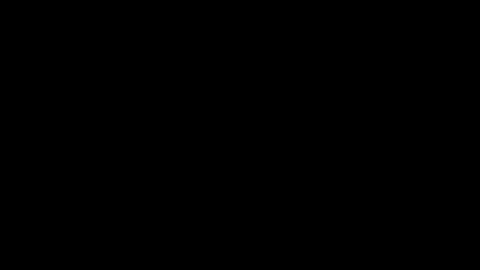 Peter online show from 23, 2, 2025