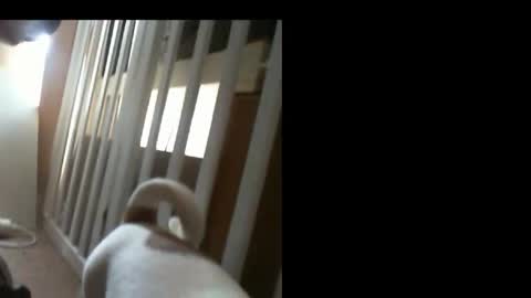 Snapshot of 10mm_socket chatting on 11, 2, 2026 10mm_socket online show from 11, 2, 2026