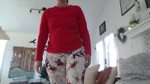 Aurora Willows online show from 17, 1, 2026