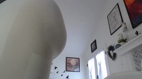 Aurora Willows online show from 19, 1, 2026