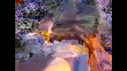 MED online show from 8, 3, 2026