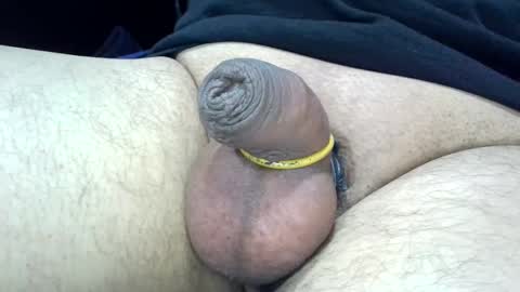 MICA online show from 28, 12, 2024