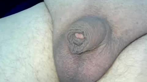 MICA online show from 31, 1, 2026