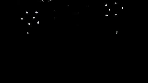 1penechiquito1 online show from 3, 10, 2025