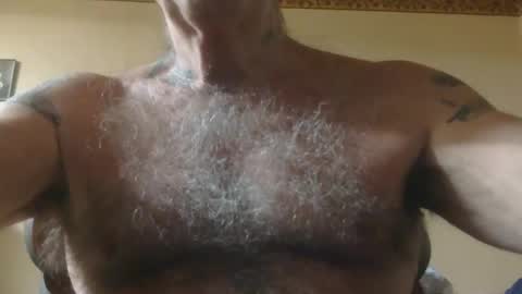 Pizza online show from 4, 11, 2025