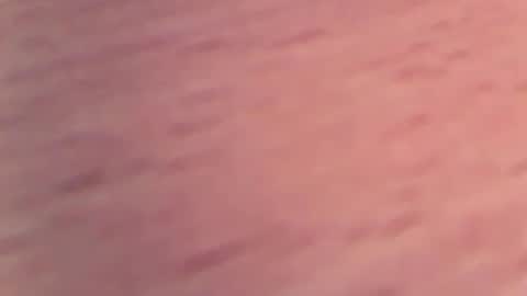 1vaso online show from 4, 2, 2025