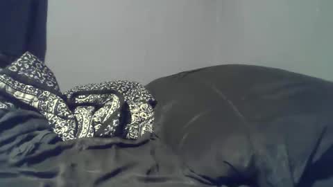 cheif online show from 22, 4, 2026