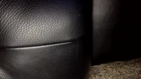 30nick online show from 18, 1, 2026