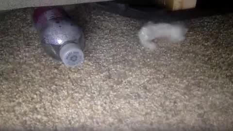 30nick online show from 10, 2, 2026