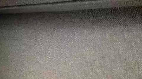 30nick online show from 2, 4, 2026