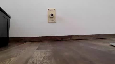 Snapshot of 555888000 chatting on 13, 1, 2026 Steven online show from 13, 1, 2026