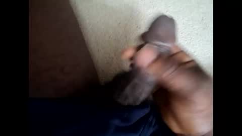 559lark online show from 20, 4, 2026