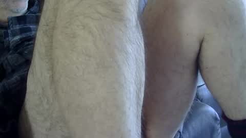 66bear online show from 8, 2, 2025