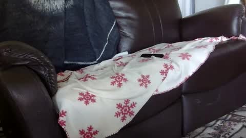 66bear online show from 4, 10, 2025