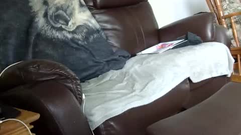 66bear online show from 14, 12, 2025