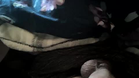 69angel96 online show from 19, 11, 2025