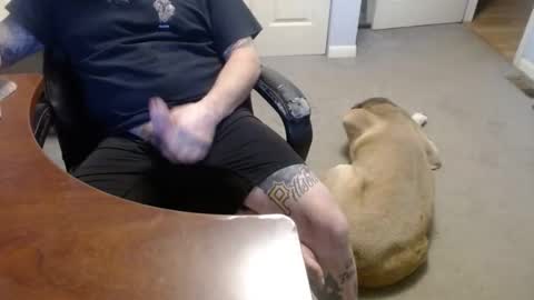 MASTIFF online show from 16, 1, 2026