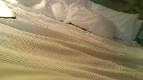 75stingray online show from 10, 3, 2026