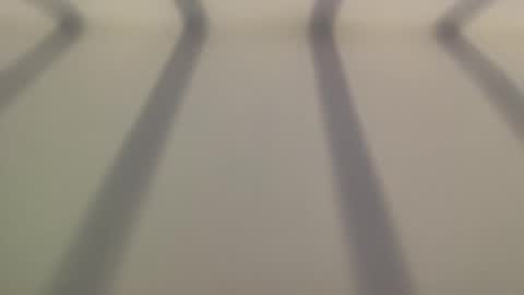 8675309jc online show from 2, 12, 2025