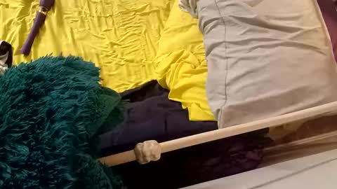 8intenn online show from 24, 3, 2026