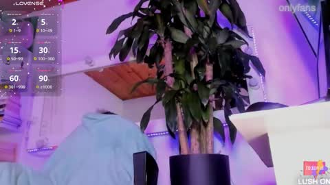 fer online show from 7, 10, 2025