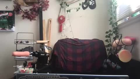 bandit online show from 26, 12, 2024