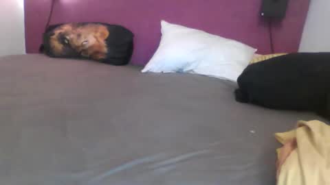 _bertl_ online show from 25, 10, 2025