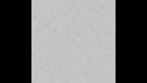 Brenda online show from 13, 11, 2025