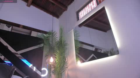 Candy online show from 15, 1, 2025