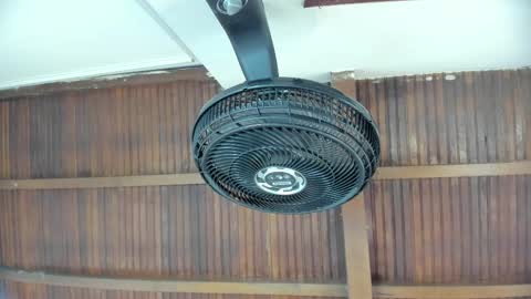 Candy online show from 22, 9, 2025