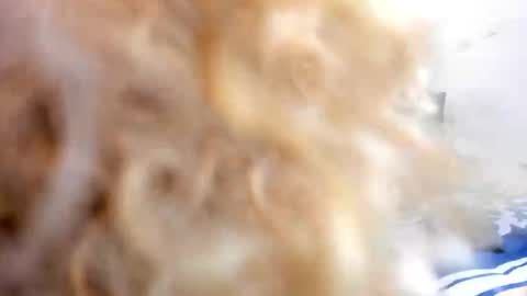 _charlottedavis online show from 17, 1, 2026