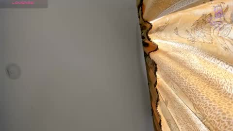 danik online show from 11, 3, 2026