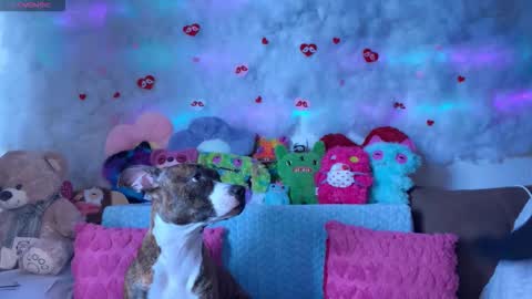 Kate online show from 7, 3, 2026