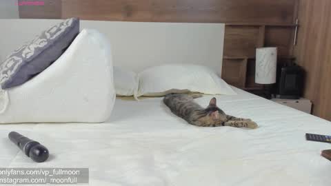  fullmoon online show from 21, 3, 2026