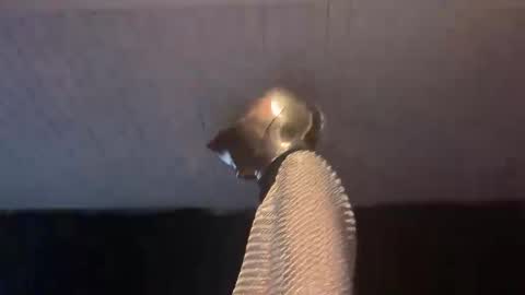 Snapshot of _goodknight chatting on 3, 2, 2025 GOODKNIGHT online show from 3, 2, 2025