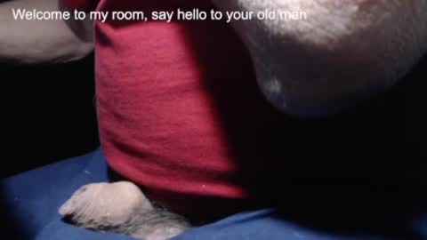 _jimmini online show from 21, 2, 2025