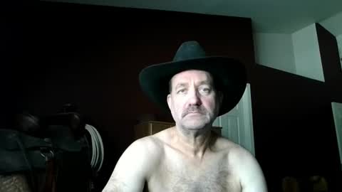 Wyatt online show from 1, 8, 2026