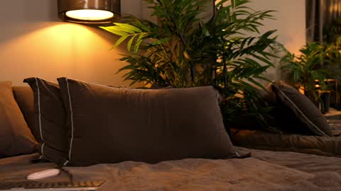 FANSLY ---   anal in private 700 tokens online show from 12, 3, 2026