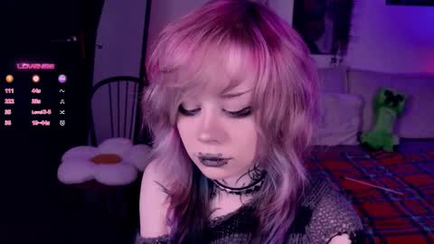 Lolly online show from 7, 11, 2025