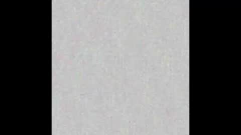 _maccaa_ online show from 14, 1, 2026