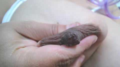  Mia  online show from 7, 3, 2025