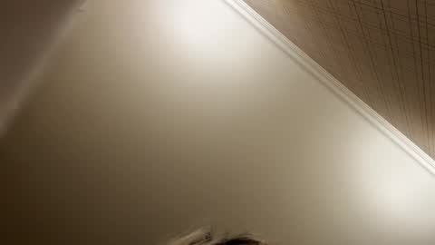 Francine Aisi Morpho - a genus of blue butterflies. online show from 21, 12, 2025