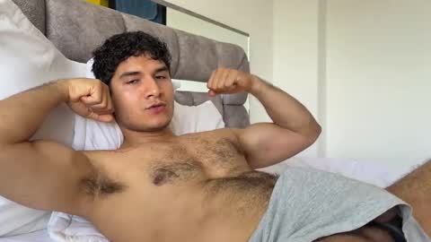 Euler online show from 25, 10, 2025