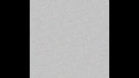 _tammarra_ online show from 17, 1, 2026