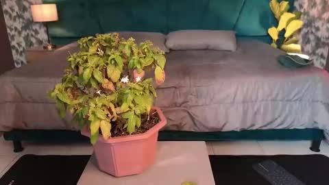 Snapshot of aaron_eze chatting on 31, 1, 2026 Aaron Ezequiel online show from 31, 1, 2026