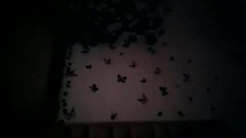 abby_moss_2 online show from 17, 7, 2026