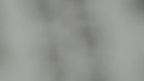 Snapshot of abbyjacksonn_ chatting on 22, 12, 2024 ABBY online show from 22, 12, 2024