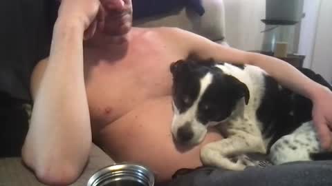 Snapshot of abe_froman2007 chatting on 8, 3, 2025 abe_froman2007 online show from 8, 3, 2025