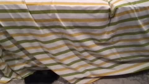 abe_froman2007 online show from 11, 2, 2026