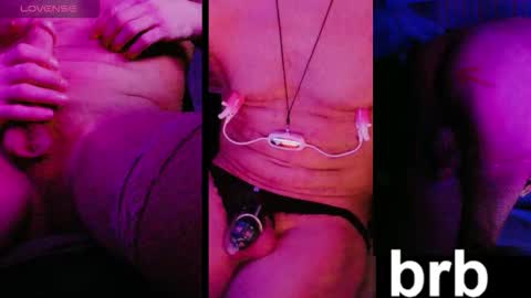 absulent online show from 9, 11, 2025